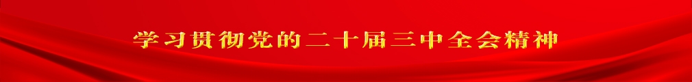 學習貫徹黨的二十屆三中全會精神